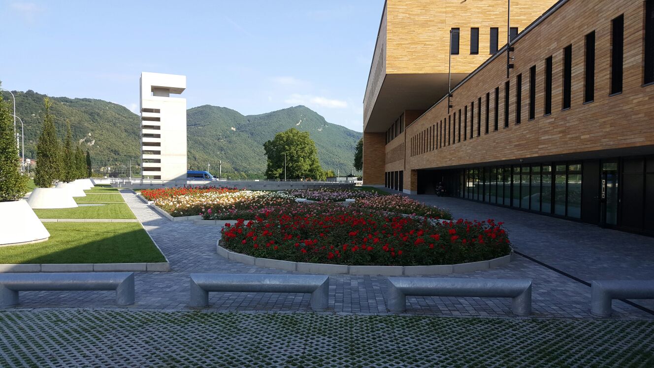 Costruzione giardini